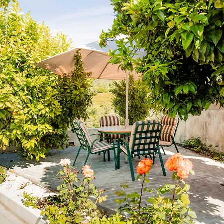 Apartamento Whome Retiro Do Pinhal Zezere Valley Nature Escape Oleiros (Castelo Branco)