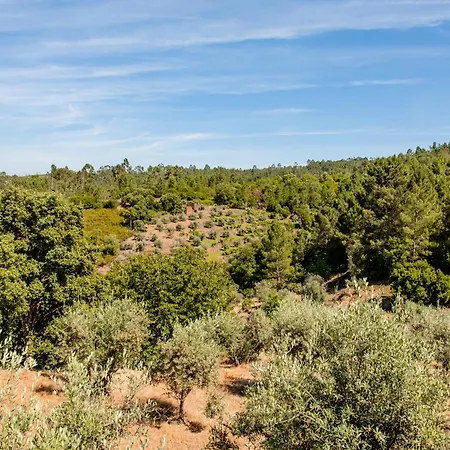 Apartamento Whome Retiro Do Pinhal Zezere Valley Nature Escape